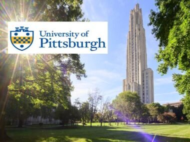 University of Pittsburgh Boren Scholarship